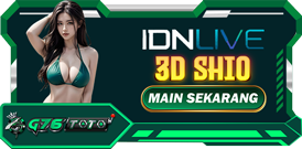 3D SHIO